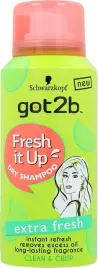 got2b-suchy-szampon-do-wlosow-ekspresowo-odswiezajacy-100-ml