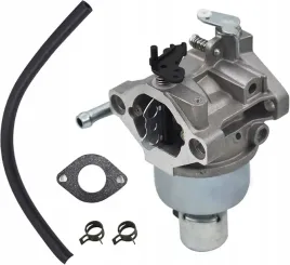 gaznik-briggsandstratton-496796-499153-591736-594601-594605-695412