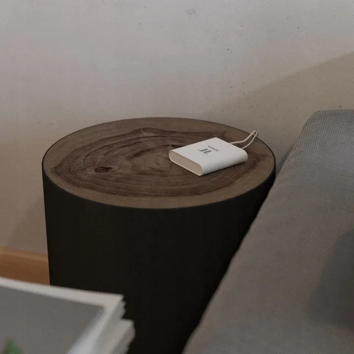 centrala-bramka-sterujaca-tesla-smart-rj45-zigbee