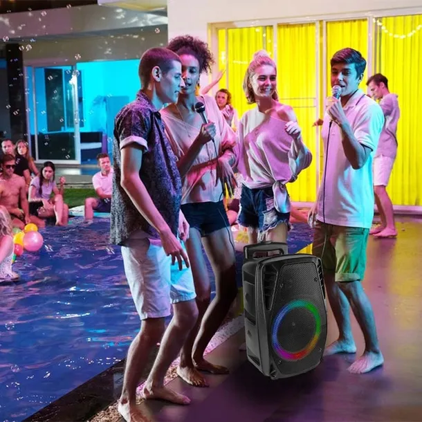 glosnik-bluetooth-karaoke-300w-mic-pilot-bateria-model-ft8led-mk2