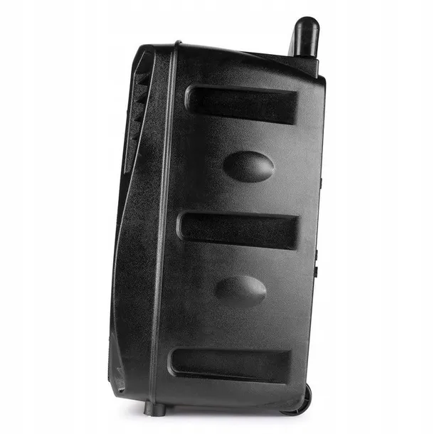 glosnik-bluetooth-karaoke-300w-mic-pilot-bateria-marka-fenton-zasilanie-akumulatorowe