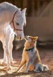 puzzle-1000-unique-friendship-castor-stan-nowy