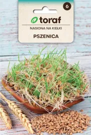 nasiona-na-kielki-pszenica-toraf-332