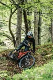 abus-modrop-pine-green-m-kolor-zielony