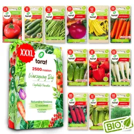 nasiona-warzyw-burak-cebula-fasola-ogorek-pomidor-zestaw-2500-nasion-xxxl