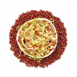 fasola-adzuki-100g-nasiona-na-kielki