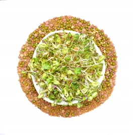 mieszanka-lagodna-250g-nasiona-na-kielki