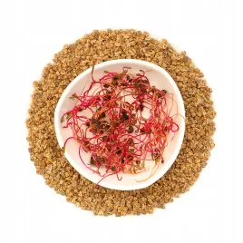 burak-cwiklowy-100g-nasiona-na-kielki
