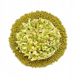 fasola-mung-250g-nasiona-na-kielki-kielkownica