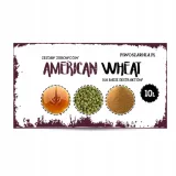 american-wheat-ekstrakty-brewkit