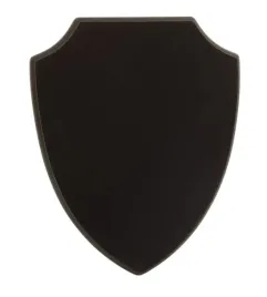 deska-drewniana-herbowa-ryngraf-do-prezentacji-odznaczen-medali-braz18x145