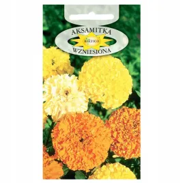 nasiona-aksamitka-wyniosla-mieszanka-nasion