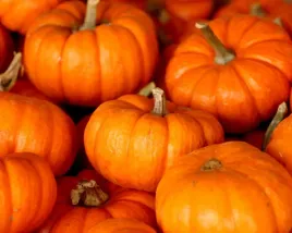 dynia-ozdobna-miniaturowa-sweetie-pie-uroczy-akcent-jesieni-nasiona