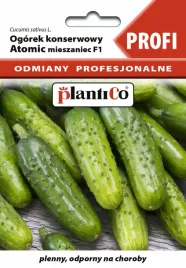 ogorek-konserwowy-gruntowy-atomic-mieszaniec-odporny-plenny-smaczny-nasiona