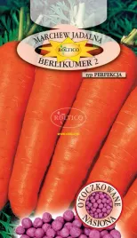 marchew-berlikumer-perfekcja-nasiona-otoczkowane