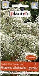 gipsowka-wiechowata-pelna-idealna-na-bukiety-nasiona-kwiatow-p-pl430-12-2