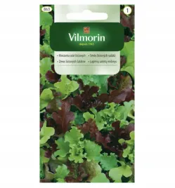 mieszanka-salaty-francuskich-salat-lisciowych-latwa-w-uprawie-nasiona