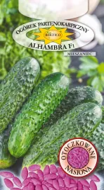 ogorek-konserwowy-partenokarpiczny-wczesny-alhambra-f1-nasiona-otoczkowane