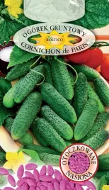 ogorek-gruntowy-cornichon-de-paris-nasiona-otoczkowane