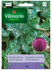 ostropest-plamisty-2m-wysokosci-nasiona-premium-vilmorin