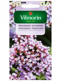 werbena-patagonska-liliowa-nasiona-kwiatow