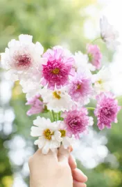 onetek-pelny-mieszanka-kolorow-nasiona-kwiatow