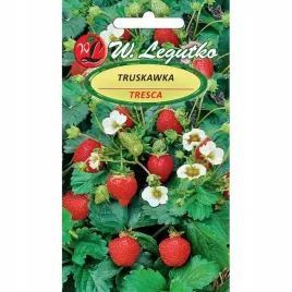 truskawka-do-gruntu-i-donicy-tresca-slodka-odmiana-nasiona