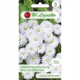 stokrotka-pospolita-wielkokwiatowa-nasiona-kwiatow-roslin-ozdobnych