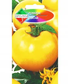 pomidor-zolty-jantar-wczesny-wysoki-plenny-nasiona-warzyw-pomidorow