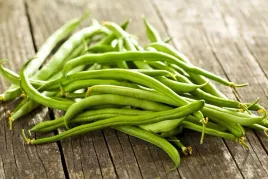 fasola-zielona-zwykla-karlowa-bona-nasiona-warzyw-fasoli