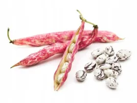 fasola-szparagowa-zwykla-karlowa-borlotto-nasiona-warzyw