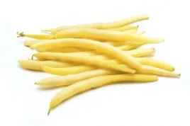 fasola-szparagowa-karlowa-maxidor-wczesna-nasiona-warzyw