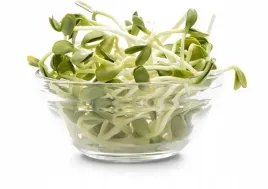 nasiona-na-kielki-slonecznik-duze-opakowanie-nasiona-zrodlo-witamin