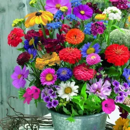 mieszanka-roslin-o-pachnacych-kwiatach-nasiona-kwiatow-rosliny-ozdobne