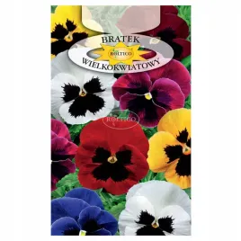 bratek-wielkokwiatowy-mix-kwiaty-jadalne-nasiona-kwiatow-roslin-ozdobnych