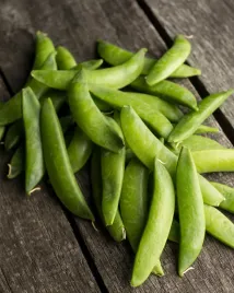 groch-groszek-siewny-cukrowy-ambrosia-plenny-slodki-odporny-nasiona