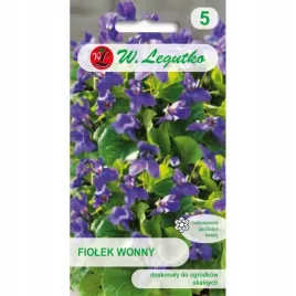 fiolek-wonny-pachnacy-wieloletni-fioletowy-nasiona