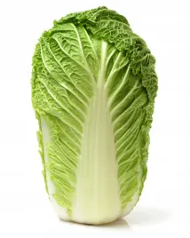 kapusta-pekinska-hilton-idealna-do-surowek-nasiona