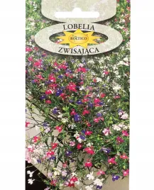 lobelia-zwisajaca-mieszanka-kolorow-mix-nasiona-kwiatow-rosliny-ozdobne