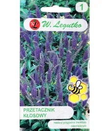 przetacznik-klosowy-niebieski-wieloletni-nasiona