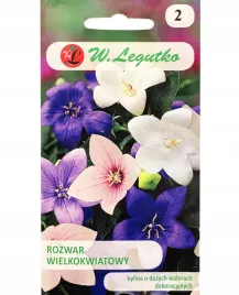 platykodon-rozwar-wielkokwiatowy-mieszanka-nasiona