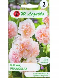 malwa-ogrodowa-lososiowa-prawoslaz-piekne-pelne-kwiaty-nasiona-kwiatow