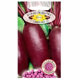 burak-opolski-podluzny-nasiona-otoczkowane-warzywa