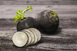 rzodkiew-czarna-zimowa-wyjatkowy-kolor-nasiona-warzyw