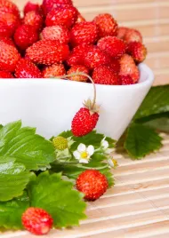 poziomka-baron-mrozoodporna-do-30c-smaczna-plenna-nasiona-poziomki