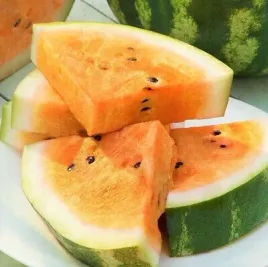 arbuz-orangeglo-do-uprawy-na-polski-klimat-nasiona