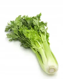 seler-naciowy-zefir-wyjatkowy-smak-i-wartosci-odzywcze-nasiona-warzyw