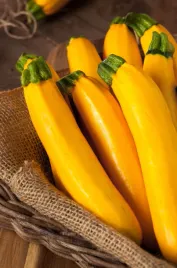 cukinia-goldena-zloto-pomaranczowa-nasiona-warzyw