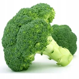 brokul-sebastian-wczesny-plenny-nasiona-warzyw