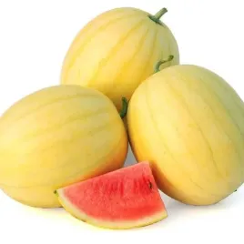 arbuz-zloto-wolicy-f1-odmiana-na-polski-klimat-nasiona